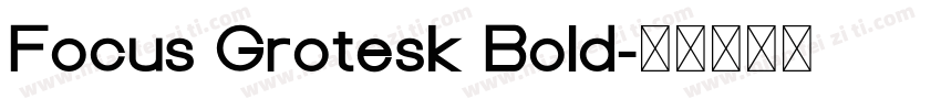 Focus Grotesk Bold字体转换